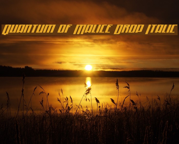 Quantum of Malice Drop Italic Font examples