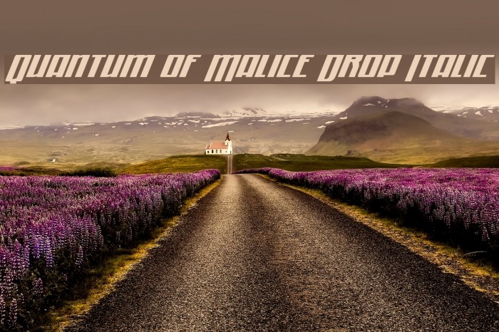 Quantum of Malice Drop Italic Font examples