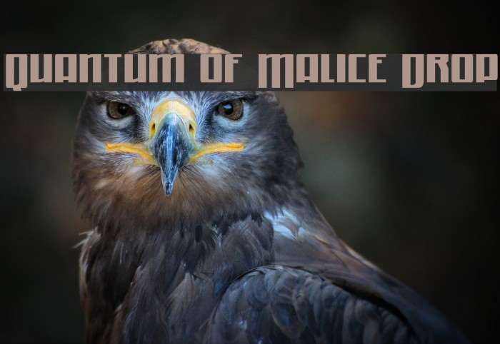 Quantum of Malice Drop Font examples