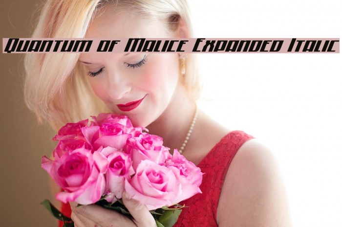 Quantum of Malice Expanded Italic Font examples