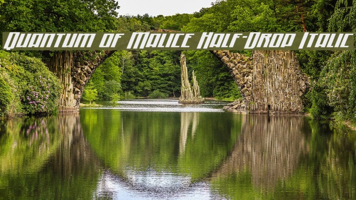Quantum of Malice Half-Drop Italic Font examples
