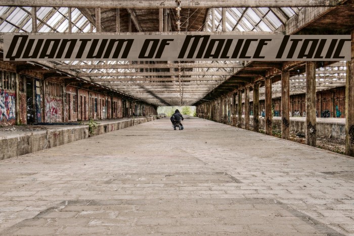 Quantum of Malice Italic Font examples