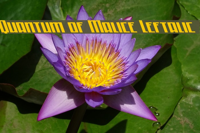 Quantum of Malice Leftalic Example 1