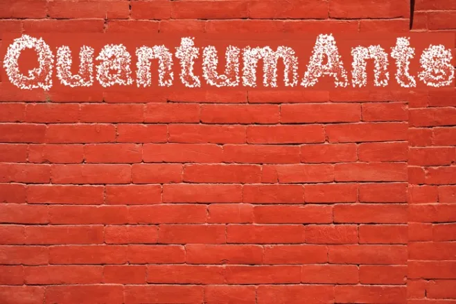 QuantumAnts Example 3