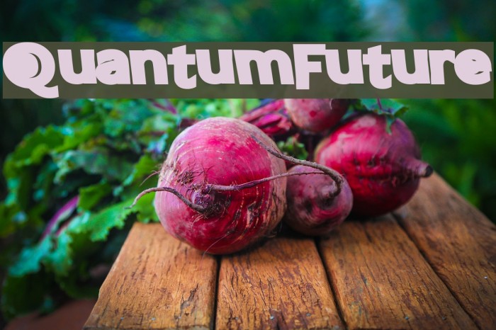 QuantumFuture Font examples
