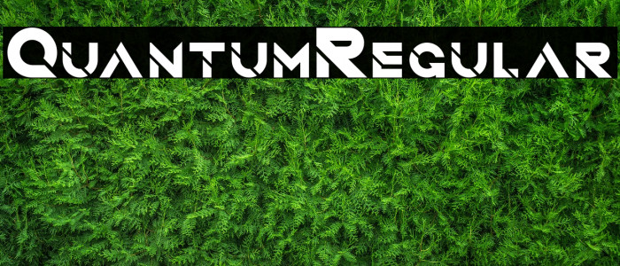 QuantumRegular Font examples