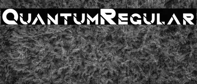 QuantumRegular خط examples