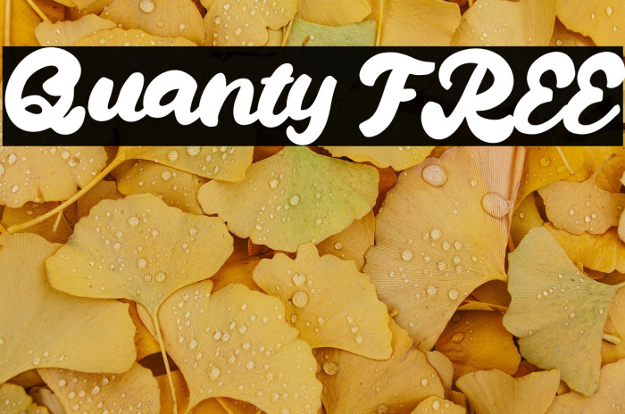 Quanty FREE Example 1