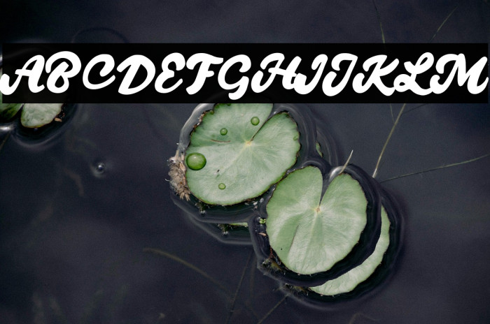 QuantyFREE Example 1