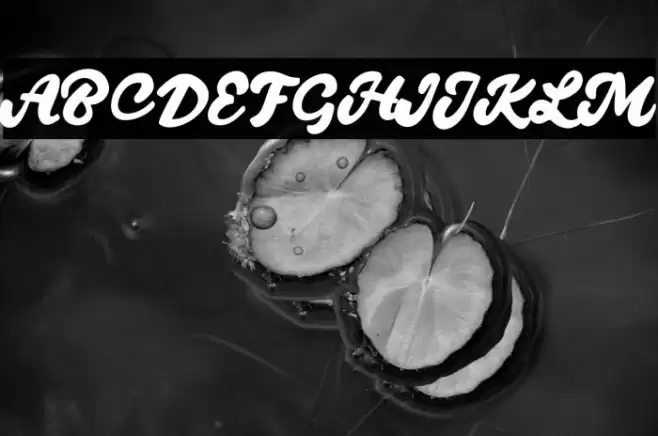 QuantyFREE Font examples