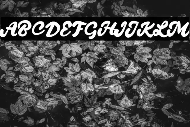 QuantyFREE Font examples