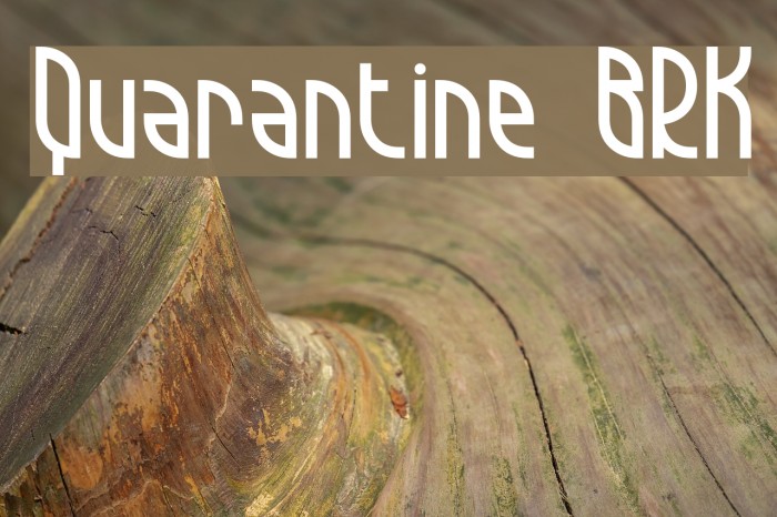 Quarantine BRK Font examples