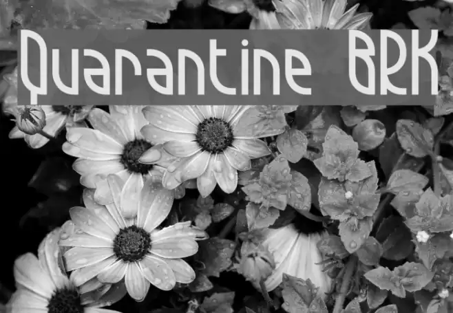Quarantine BRK Font examples