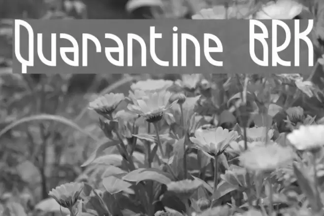 Quarantine BRK Font examples