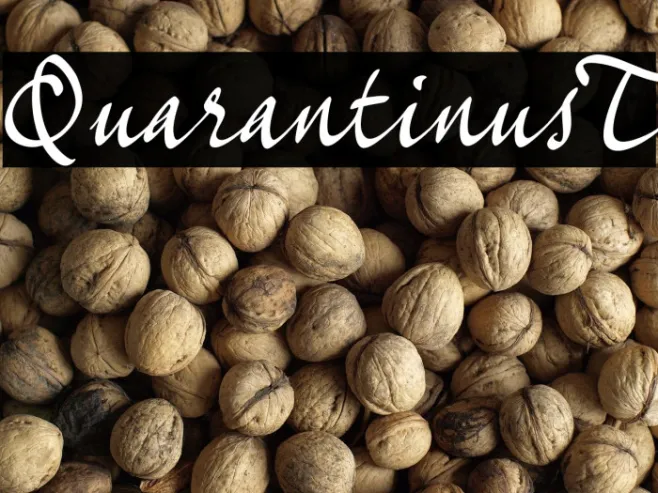 Quarantinus_T Example 1