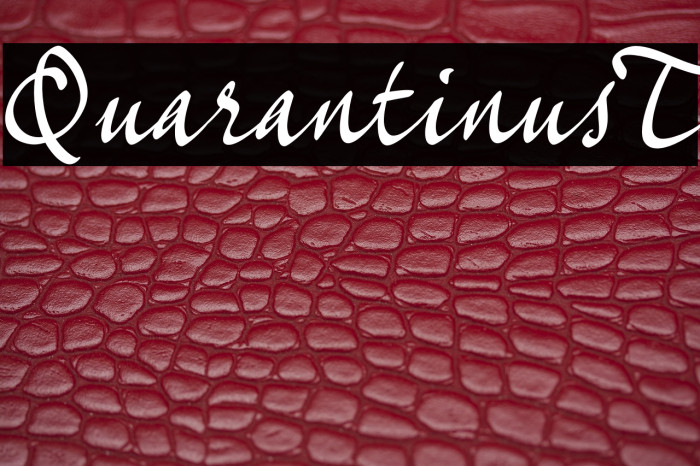 Quarantinus_T Example 2