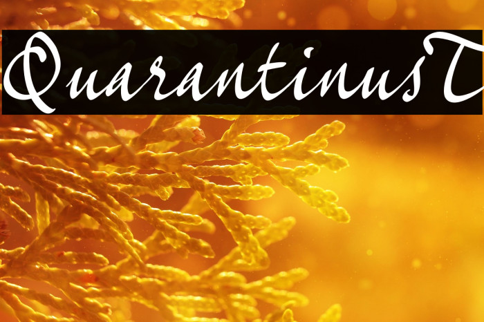 Quarantinus_T Example 3