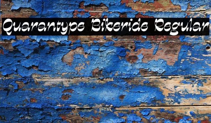Quarantype Bikeride Regular Example 3