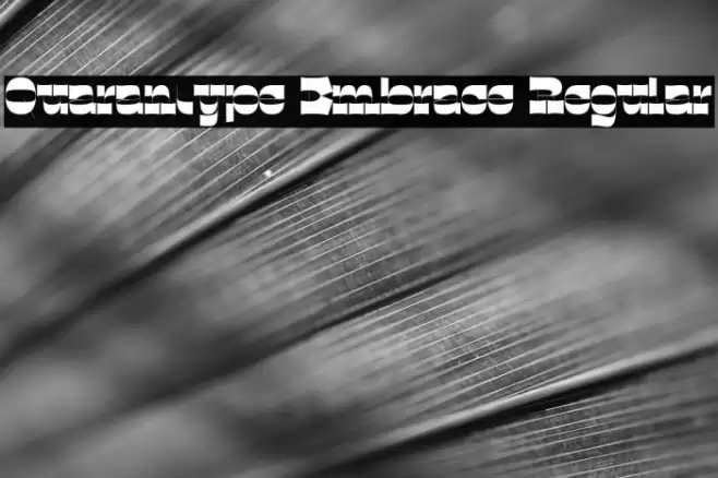Quarantype Embrace Regular Font examples