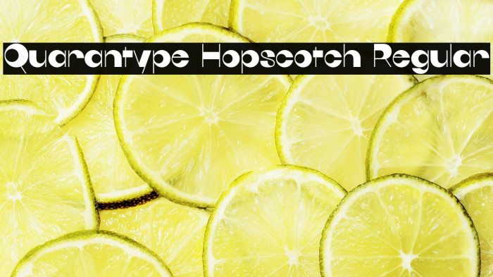 Quarantype Hopscotch Regular Example 2