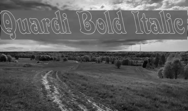 Quardi Bold Italic Font examples