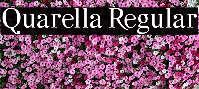 Quarella Regular Schriftart examples