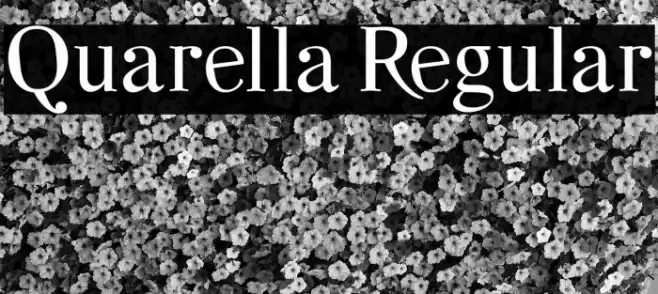 Quarella Regular Font examples