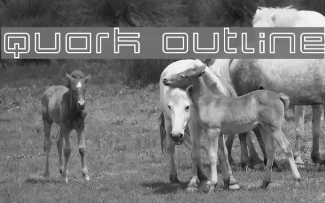 Quark Outline Font examples