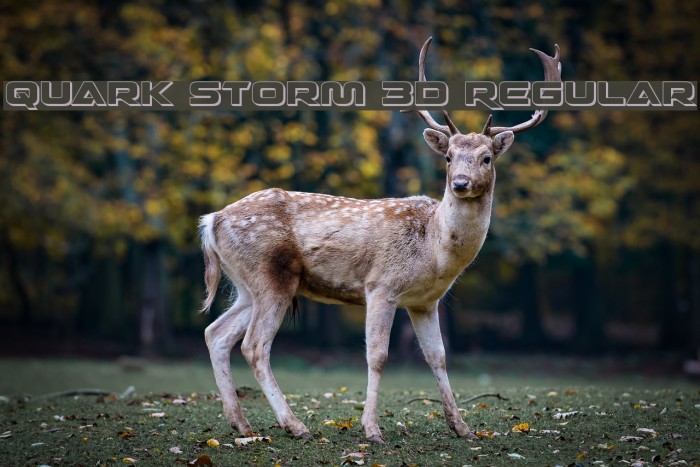Quark Storm 3D Regular Font examples