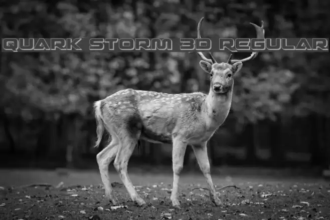 Quark Storm 3D Regular Font examples