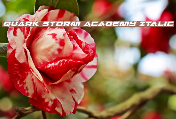 Quark Storm Academy Italic Font examples