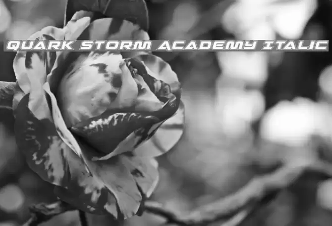 Quark Storm Academy Italic Font examples