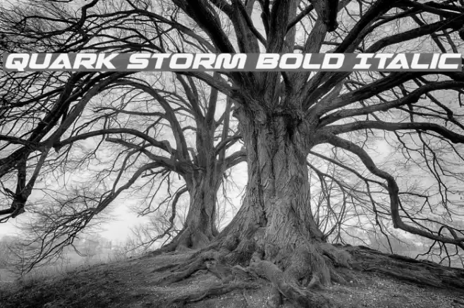 Quark Storm Bold Italic Font examples