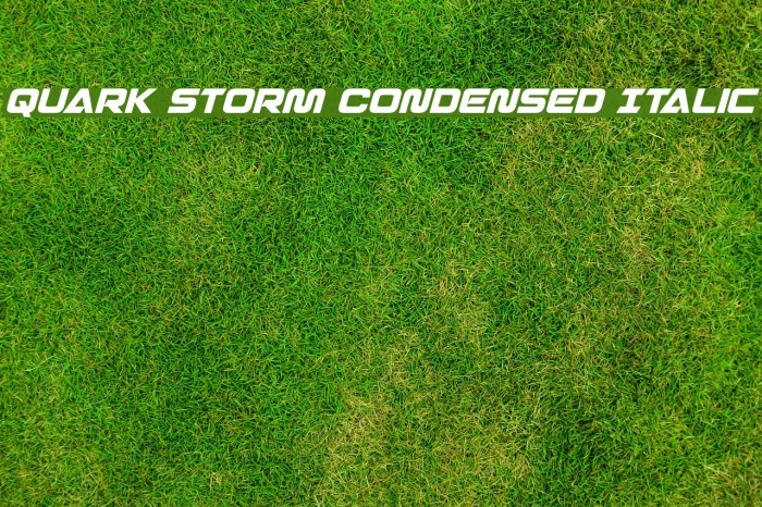 Quark Storm Condensed Italic Font examples