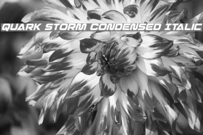 Quark Storm Condensed Italic Font examples
