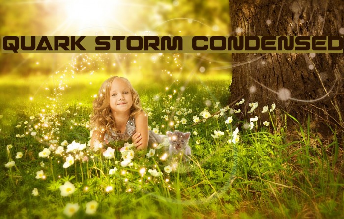Quark Storm Condensed Font examples