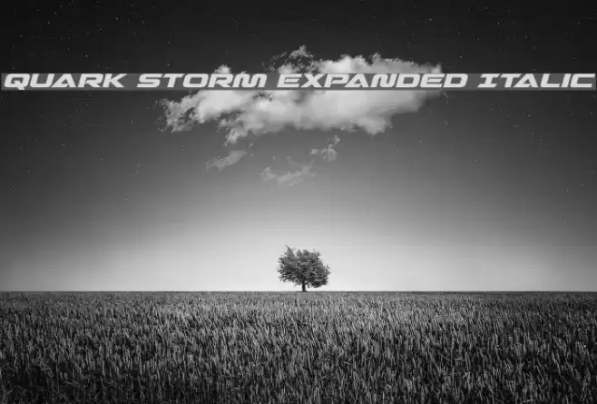 Quark Storm Expanded Italic Font examples