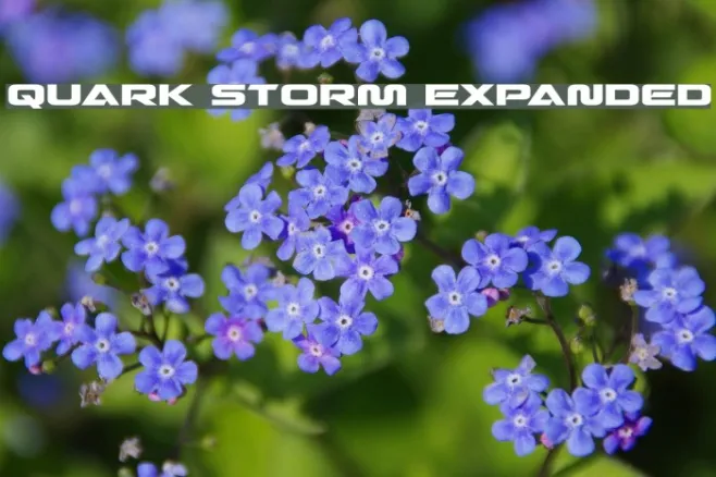 Quark Storm Expanded Example 2