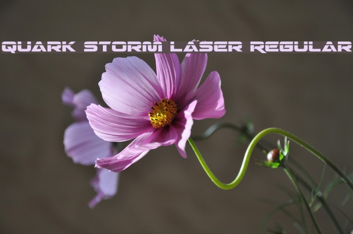 Quark Storm Laser Regular Font examples