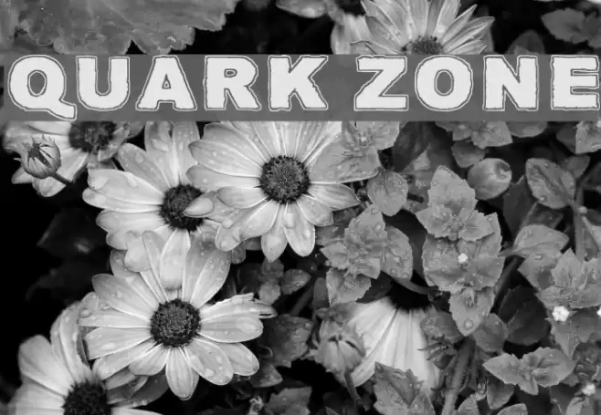 Quark Zone Font examples