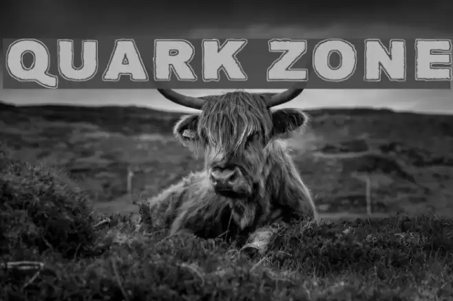 Quark Zone Font examples