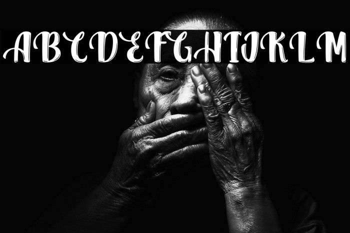 QuarkCheese-PersonalUse Example 1