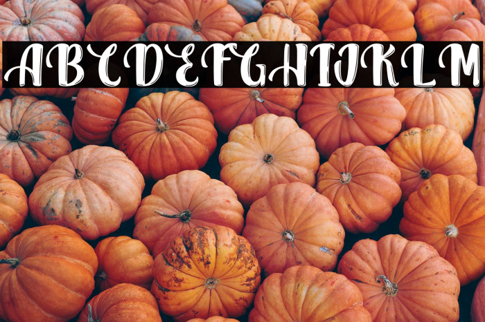 QuarkCheese-PersonalUse Example 3