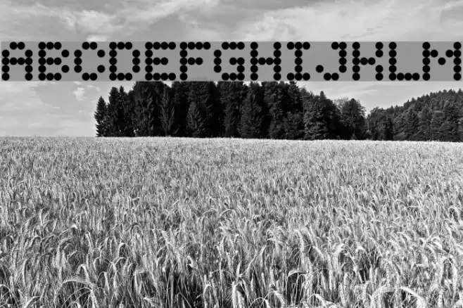 Quarky Font examples