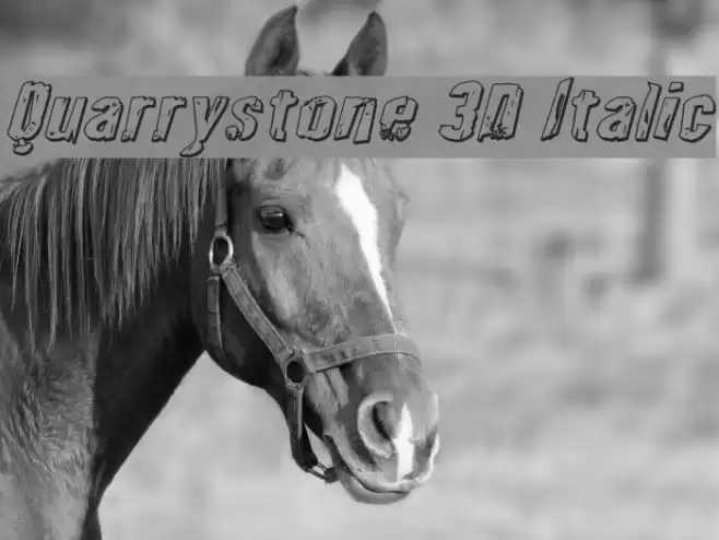 Quarrystone 3D Italic Font examples