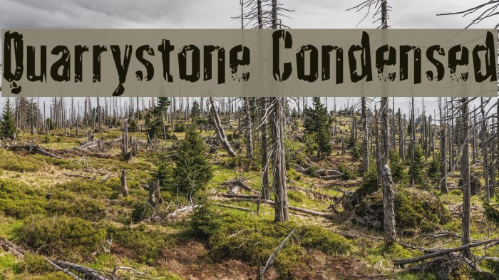 Quarrystone Condensed Font examples