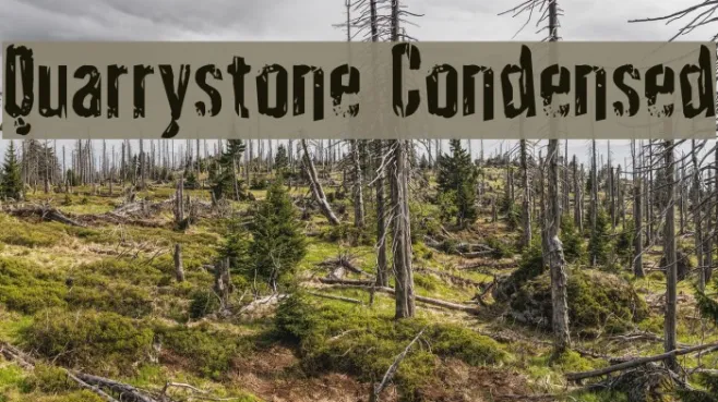 Quarrystone Condensed Example 3