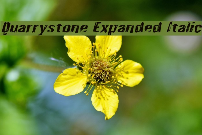 Quarrystone Expanded Italic Font examples