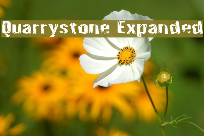 Quarrystone Expanded Font examples