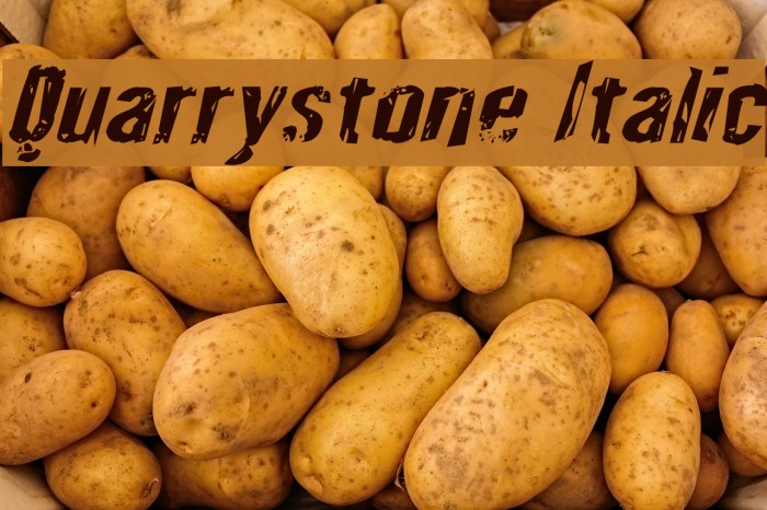 Quarrystone Italic Font examples